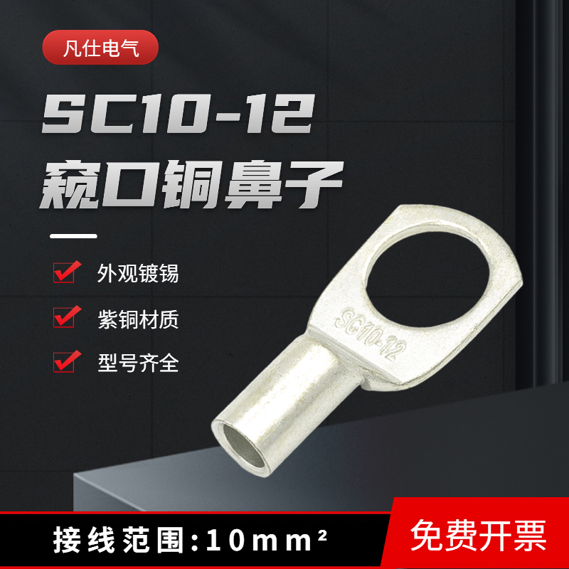 SC10-12窥口铜鼻10平方螺丝孔M12