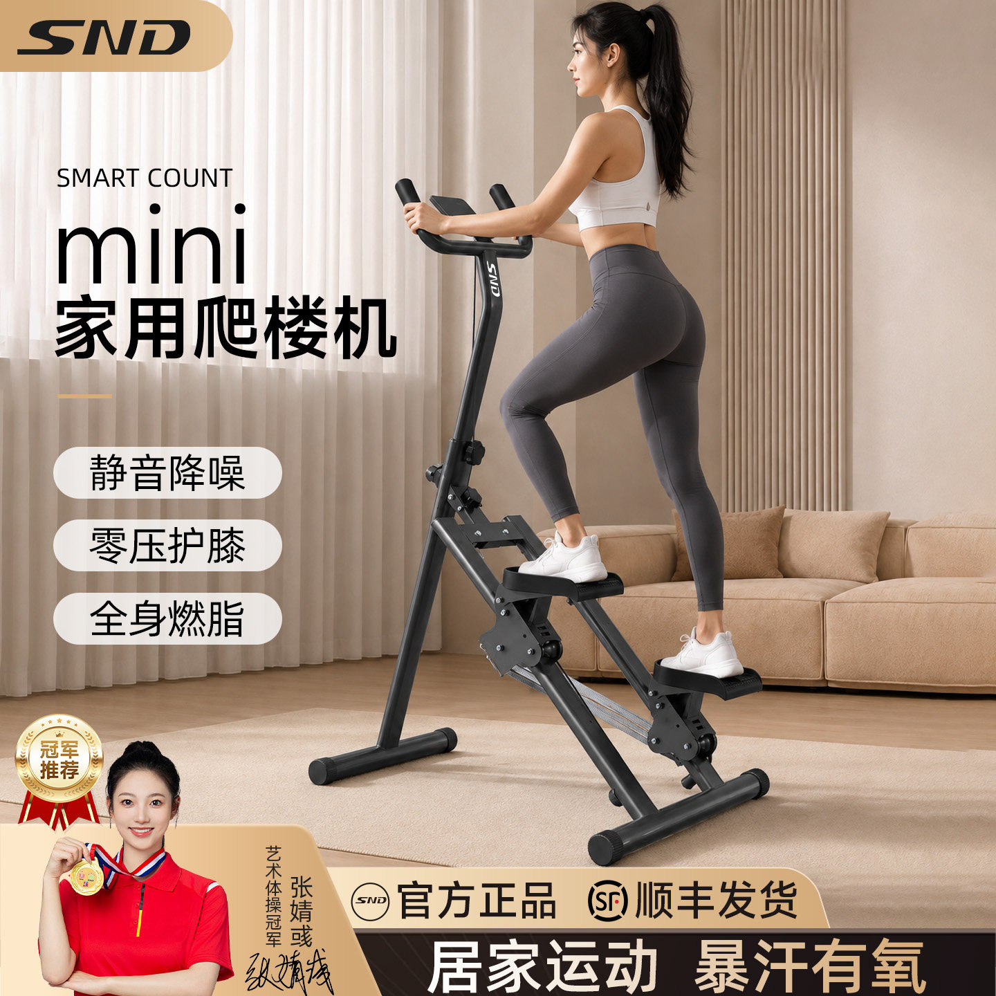 SND迷你多功能爬楼机踏步机