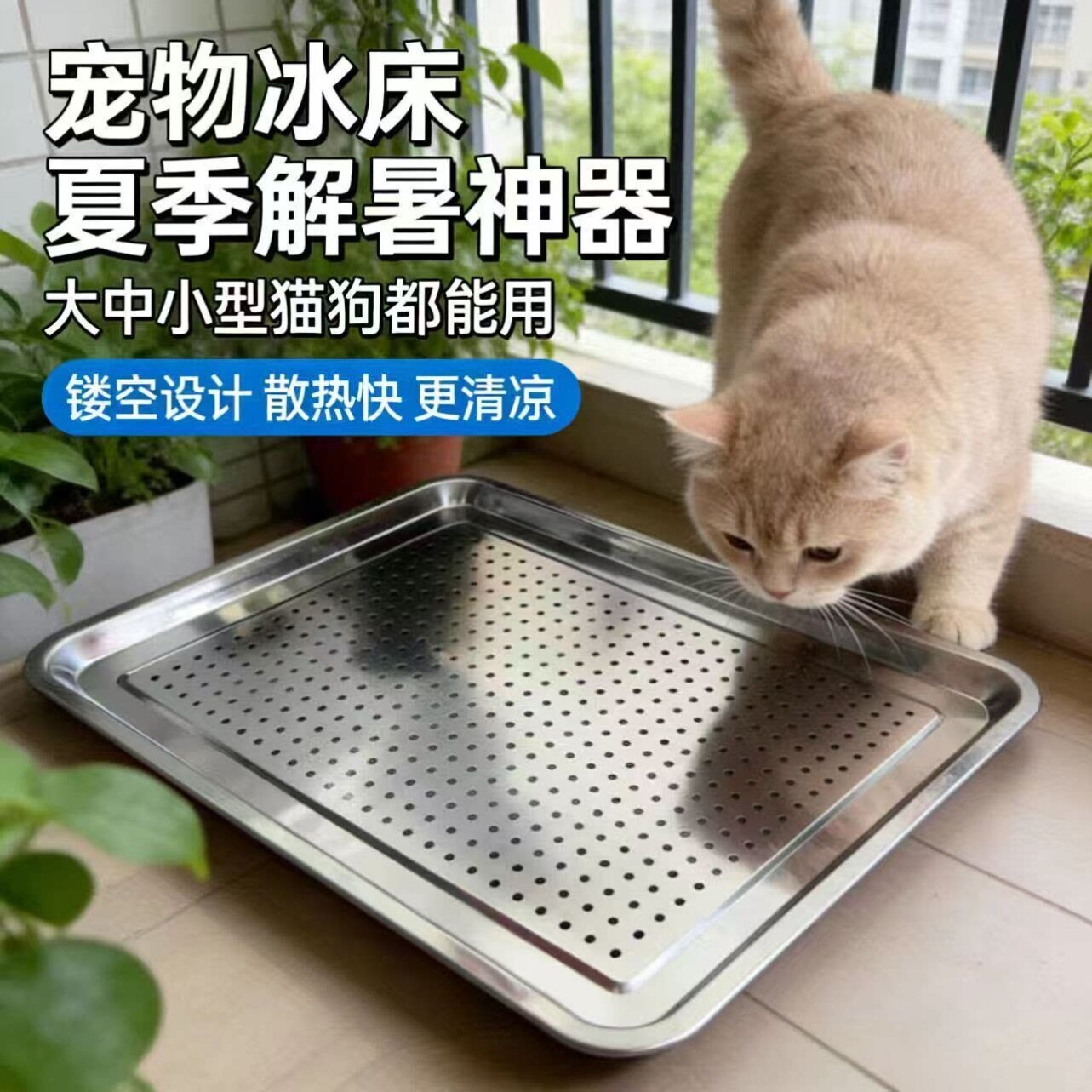 夏季宠物不锈钢散热板冰床猫咪冰窝降温神器兔子狗狗夏天冰垫龙猫