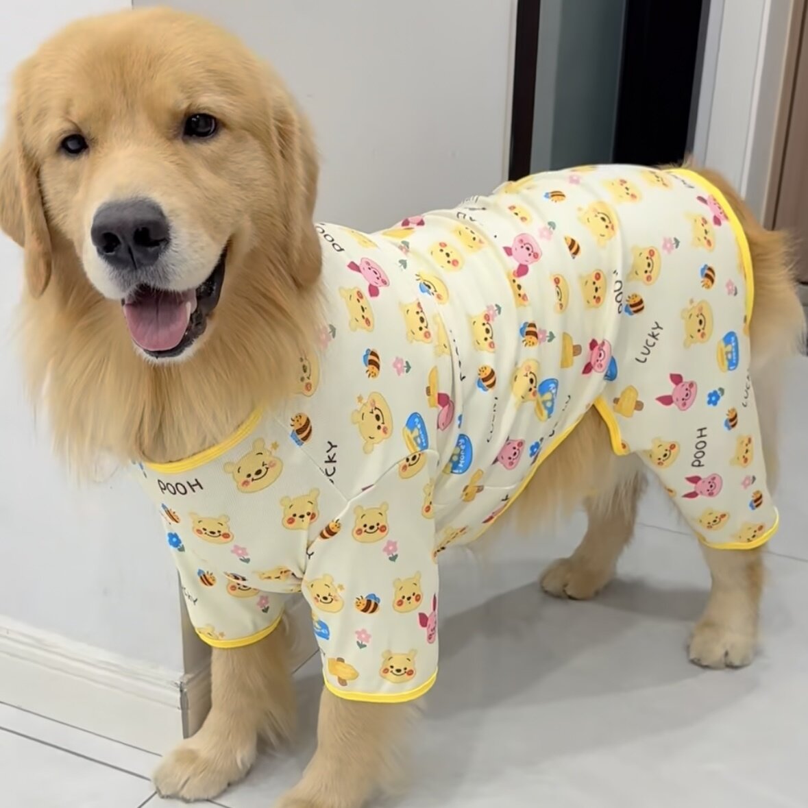 新款大型犬狗狗金毛衣服春夏薄款透气防掉毛萨摩耶四脚衣小中型犬