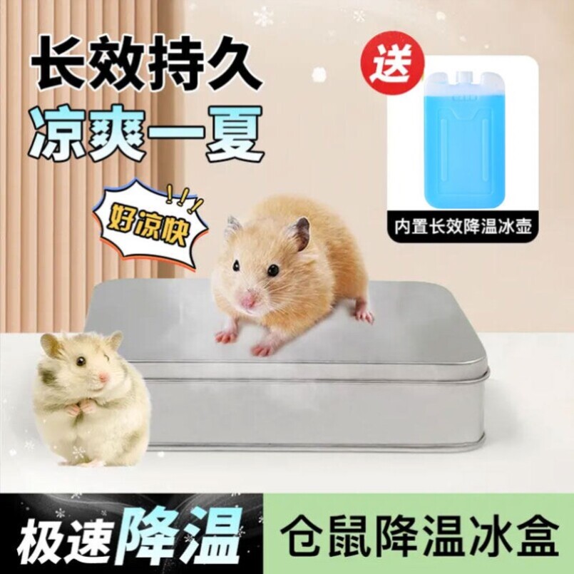 宠物龙猫夏季降温冰盒冰窝不锈钢冰垫仓鼠金丝熊荷兰猪散热板神器