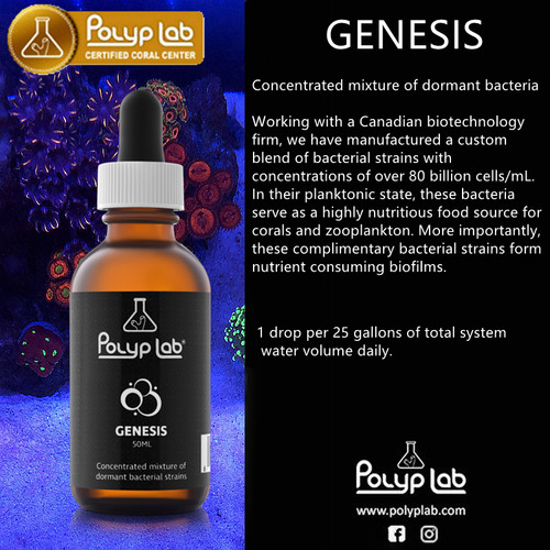 加拿大polyplabgenesis硝化细菌