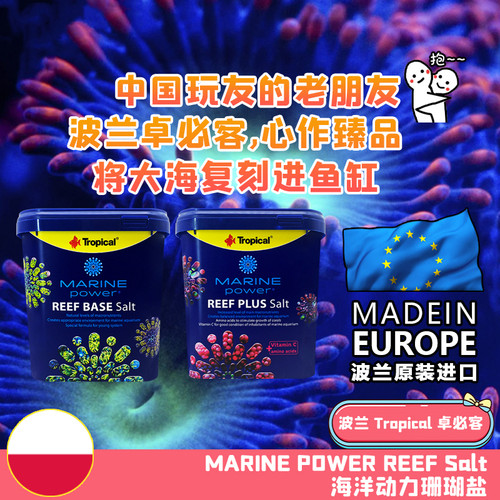 卓必客LPSSPS软体硬骨珊瑚盐