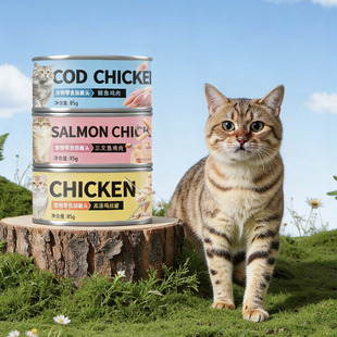 猫罐头零食罐补充猫咪零食成幼猫鲜肉罐3罐
