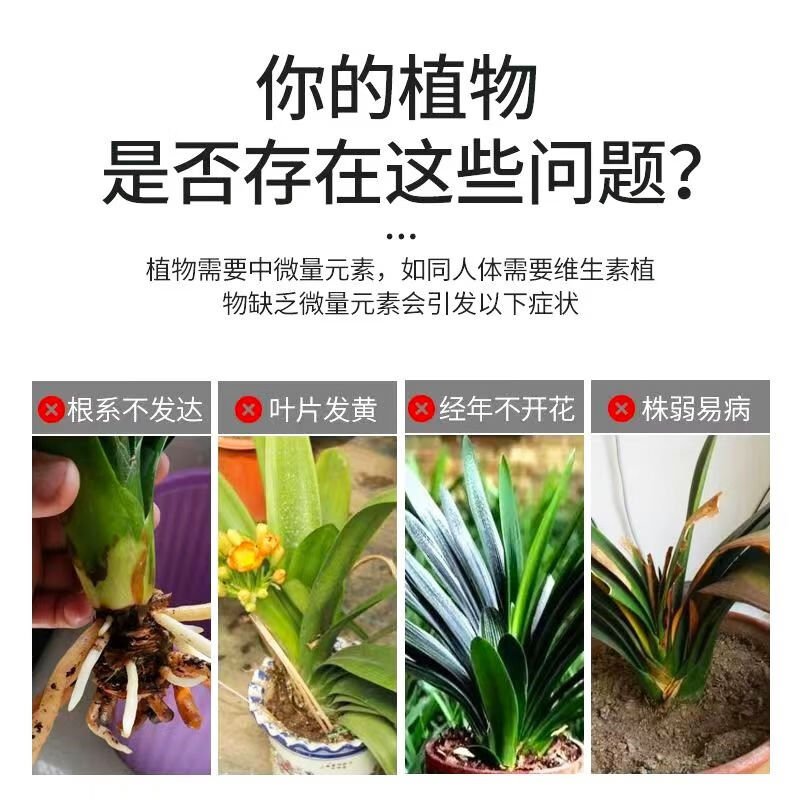 君子兰肥料专用营养液催花壮根延长花期君子兰肥氮磷钾有机叶面肥