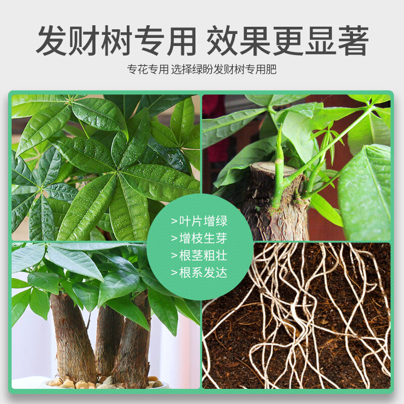 发财树肥料专用肥室内复合肥家用防黄叶营养液招财树幸福树金钱树
