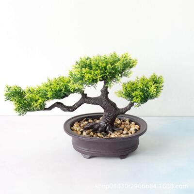 Welcome pine bonsai decoration simulation plant bonsai home