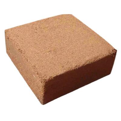 Organic Soilless Cultivation Nutrient Soil Organic and Envir