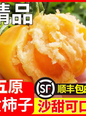 内蒙古五原黄柿子新鲜现摘沙瓤自然熟黄色西红柿水果番茄生吃蔬菜
