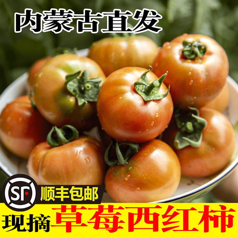 内蒙古五原草莓西红柿蔬菜新鲜番茄水果生吃自然熟西红柿沙瓤包邮,水产肉类/新鲜蔬果/熟食,番茄,淘宝优惠券,粉丝福利购,淘宝优惠卷