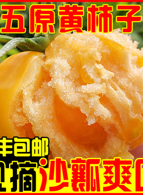 内蒙古五原黄色西红柿5斤新鲜水果现摘沙瓢黄柿子自然熟番茄蔬菜