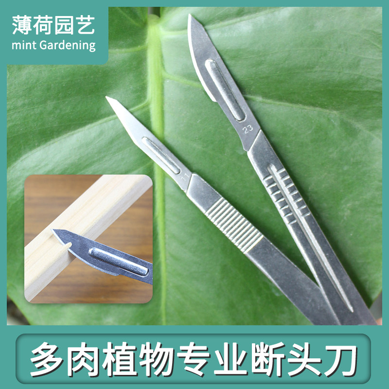 多肉砍头刀嫁接刀芽接刀月季嫁接工具十二卷分株多肉植物砍头专用