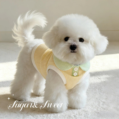 狗狗衣服春夏季薄款背心宠物猫咪翻领Polo衫泰迪比熊博美防掉毛