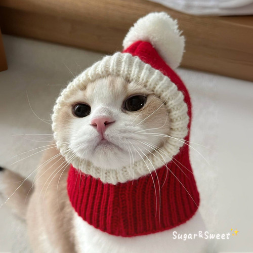 柴犬新年小红帽宠物猫咪狗金毛美短毛线帽子衣服圣诞生日拜年过年