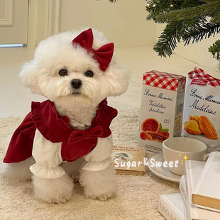 狗狗衣服新年红色礼裙连衣裙套装泰迪比熊博美小型犬宠物猫咪可爱