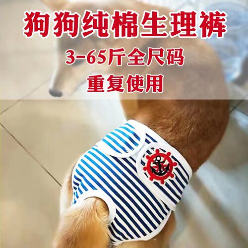 宠物狗狗生理裤月经裤