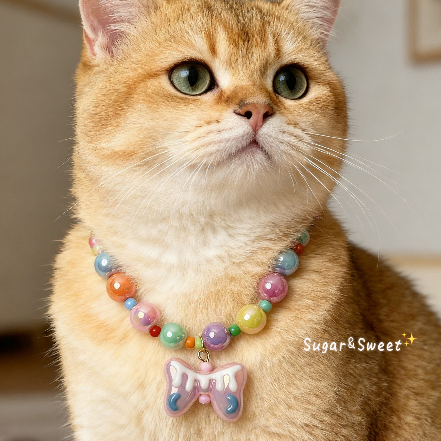 猫咪项链狗狗项圈可爱彩虹串珠糖果配色宠物配饰拍照英短金渐层