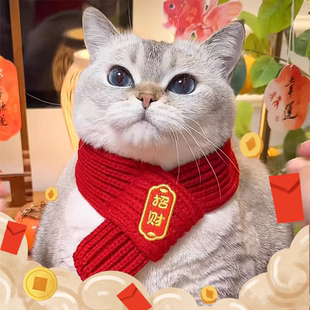 饰品 宝锦鲤装 猫咪新年围巾宠物围脖红色冬季 保暖中国风福字金元