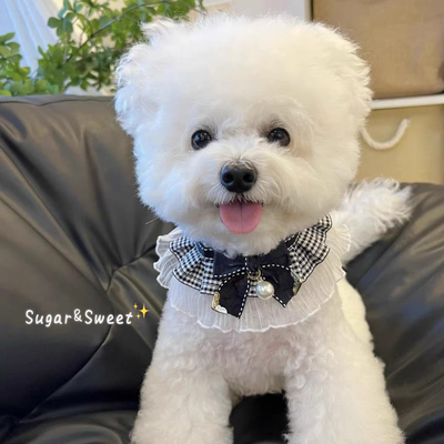 狗狗围兜口水巾猫咪可爱围脖爱心蝴蝶结铃铛项圈草莓围巾宠物装饰