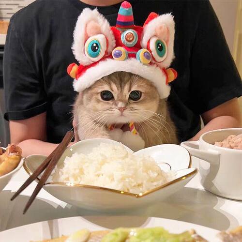宠物新年虎头帽子秋冬季保暖狗狗猫咪搞怪变身头套头饰用品醒狮