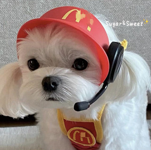喵当劳狗狗帽子猫咪喵当劳宠物玩具帽子遮阳帽麦克风对讲机店员帽