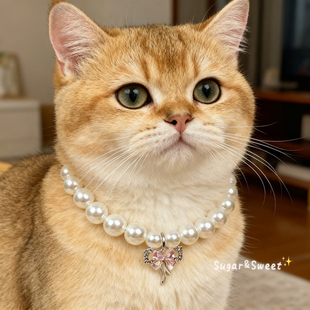 猫咪狗狗项圈梦幻蝶语吊坠公主风珍珠项链比熊宠物配饰布偶德文
