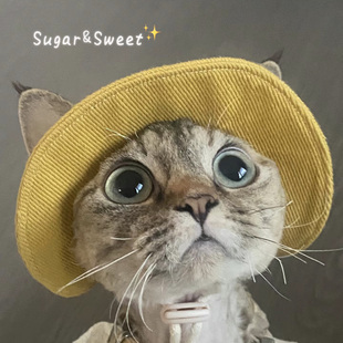 春夏猫咪狗狗遮阳帽露耳朵无毛猫头套头饰公主帽棋盘格宠物渔夫帽