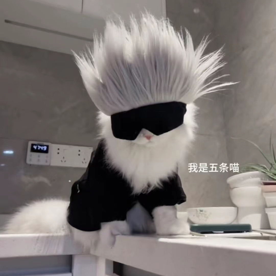咒术回战五条悟宠物猫咪cos