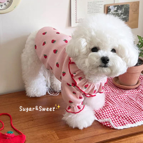 狗狗衣服春夏款可爱花边裙两脚衣背心宠物猫咪泰迪比熊博美小型犬