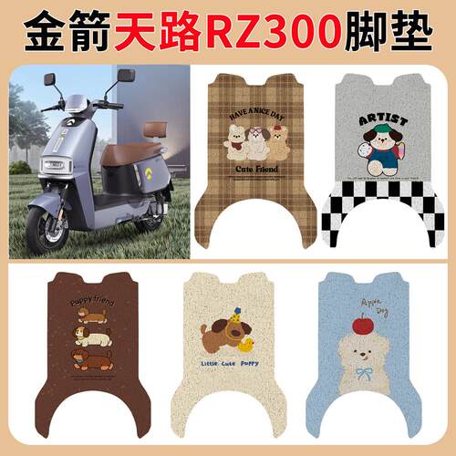 适用金箭天路RZ300电动车