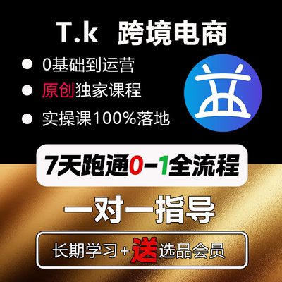 TK跨境电商0基础入门系统化课程