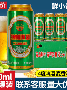 鲜小青特制啤酒500ml*12
