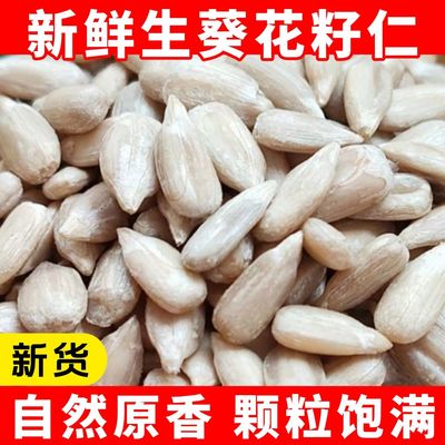 新疆内蒙古新鲜生葵花籽仁瓜子仁烘培榨油原料瓜子米葵仁炒货零食