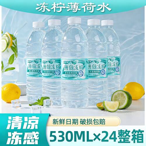 盐乐达薄荷水530ml薄荷冻柠24瓶饮用水夏季清凉解渴饮料整箱包邮