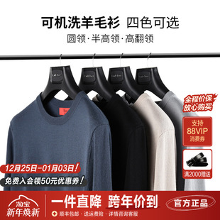 打底衫 雷迪波尔羊毛衫 可机洗保暖内搭针织毛衣男装 新款 男2023冬季