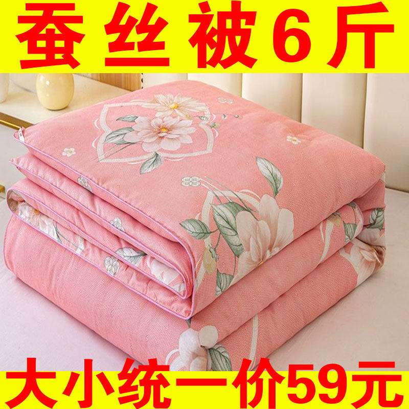 特价蚕丝被子被芯单双人空调被春秋被冬被冬天加厚保暖棉被宿舍被,床上用品,蚕丝被,淘宝优惠券,粉丝福利购,淘宝优惠卷