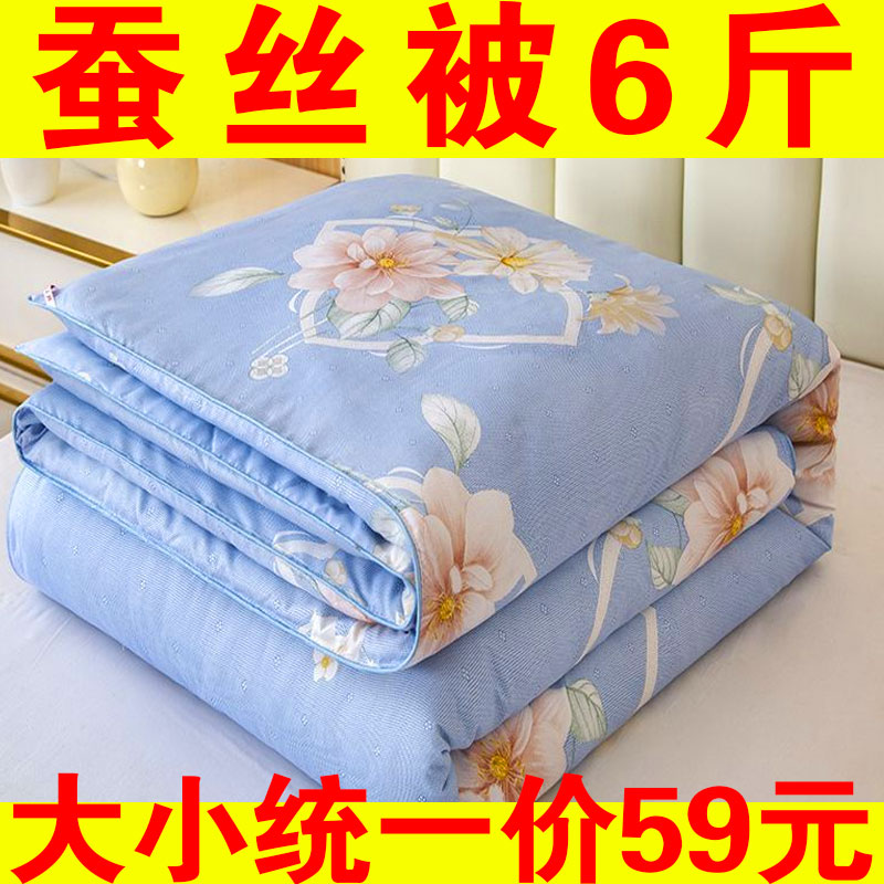 特价蚕丝被冬被加厚保暖棉被空调被双人春秋被芯单人学生宿舍被子