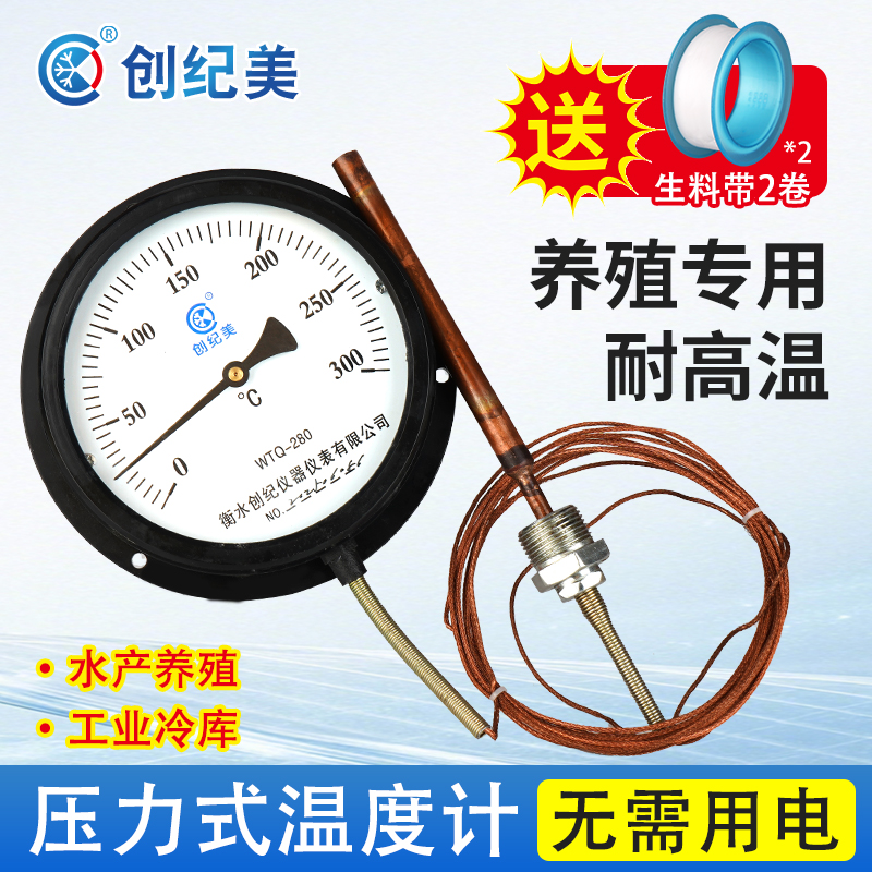 指针款压力式温度计工业高精度