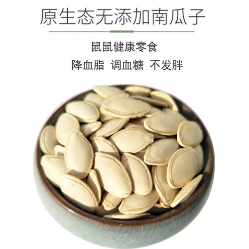 金丝熊仓鼠粮食控糖南瓜子南瓜籽