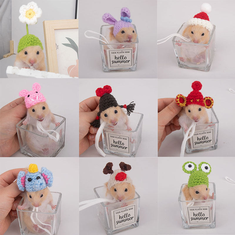 滚滚萌宠仓鼠金丝熊用品小帽子