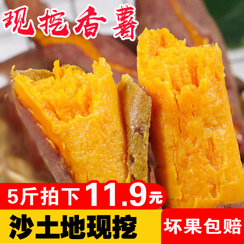 新鲜红薯5斤农家地瓜生番薯香薯黄心红薯红心蜜薯糯甜小香薯蜜薯