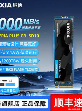铠侠SD10固态硬盘1t m.2 NVMe台式电脑笔记本ssd固态盘pcie4.0 m2