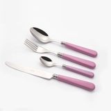 Нюдовый комплект из нержавеющей стали для домашнего использования, посуда, Франция