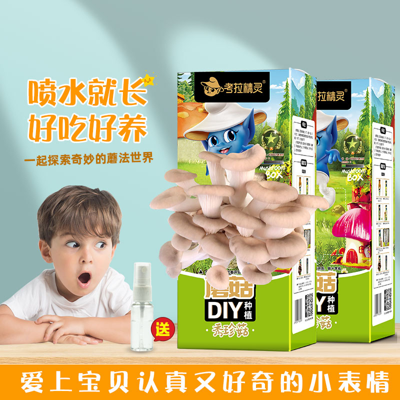 考拉精灵蘑菇盒子2盒装非干货diy菌棒菌种子秀珍菇平菇种植包儿童