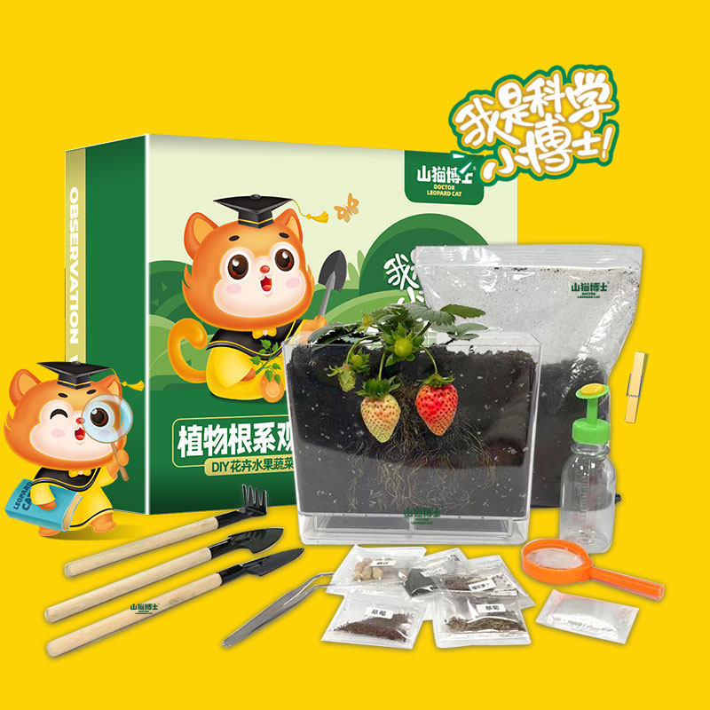 山猫博士儿童植物观察窗种子发芽生长宝宝种植迷你小盆栽幼儿绿植