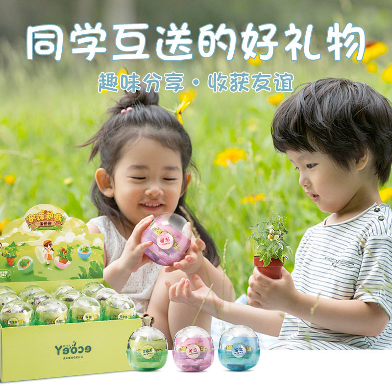 盆栽植物观察玩具盲盒 扭蛋机套装蛋球DIY创意小礼品益智动手可爱