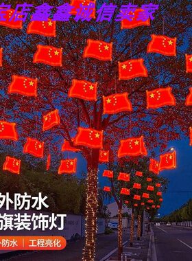 国庆LED五星红旗户外防水装饰灯