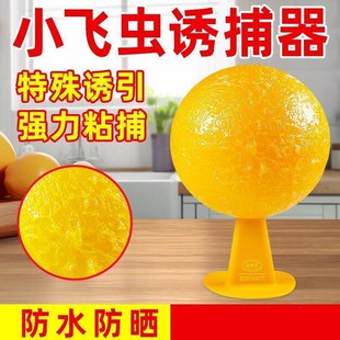 飞虫粘捕粘虫球室内粘虫无毒去除果蝇苍蝇神器蚊子诱捕器粘捕昆虫