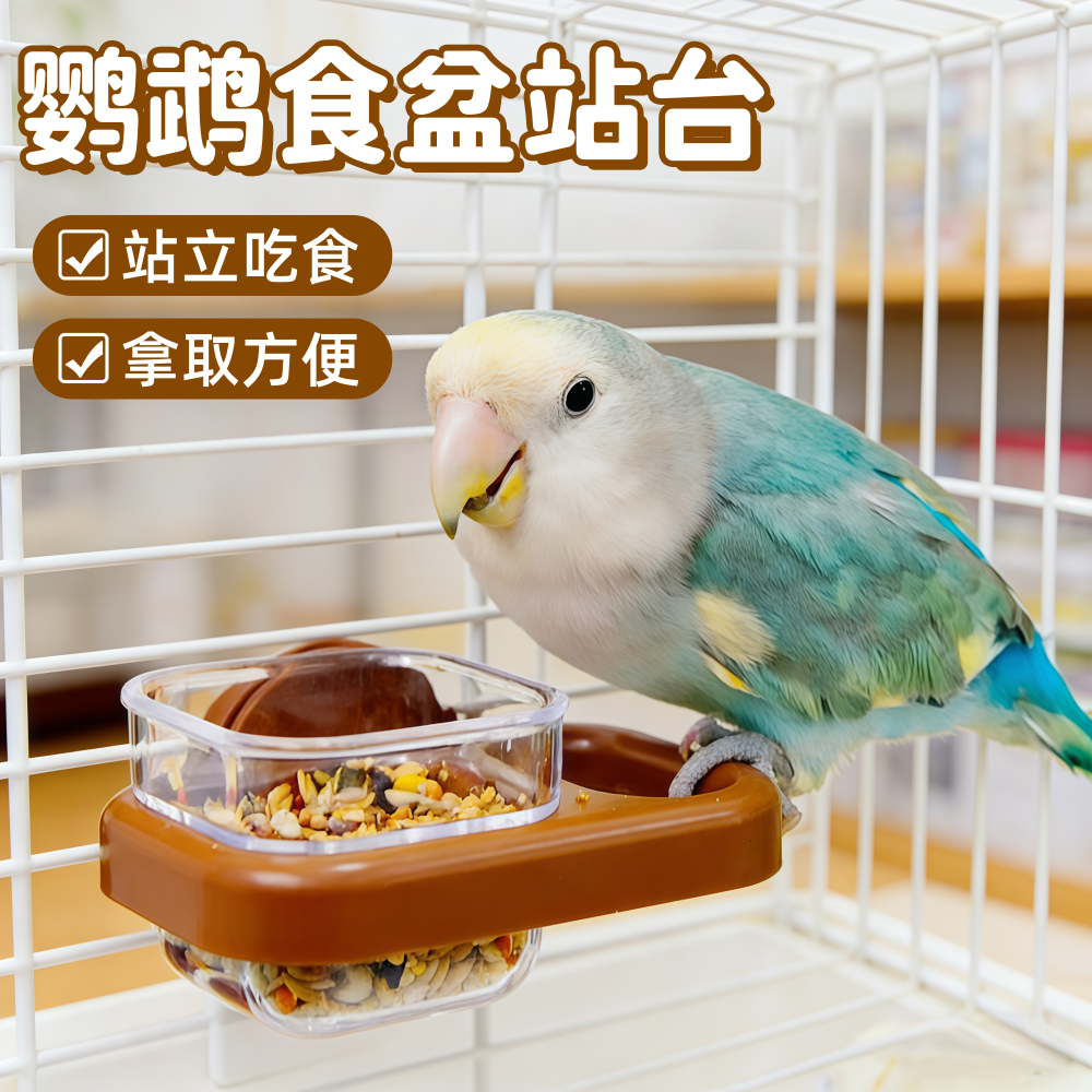 宠帮仕鹦鹉鸟饮水器方形玄凤鸟笼站台饮水喂食两用喂鸟器食盒,宠物/宠物食品及用品,鸟禽喂食器/喂水器,淘宝优惠券,粉丝福利购,淘宝优惠卷