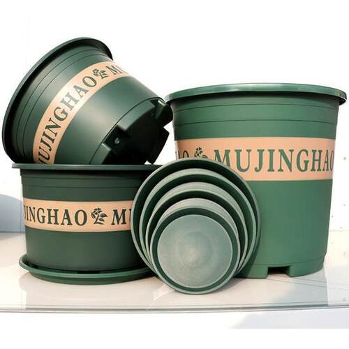 More large flower pot plastic plant trees green plant POTS